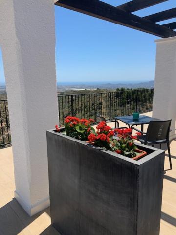 Casa Bedar Bed & Breakfast Exterior photo